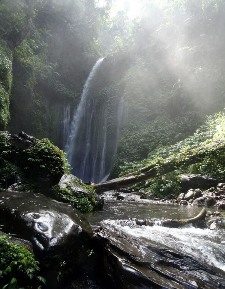 cascade senaru lombok